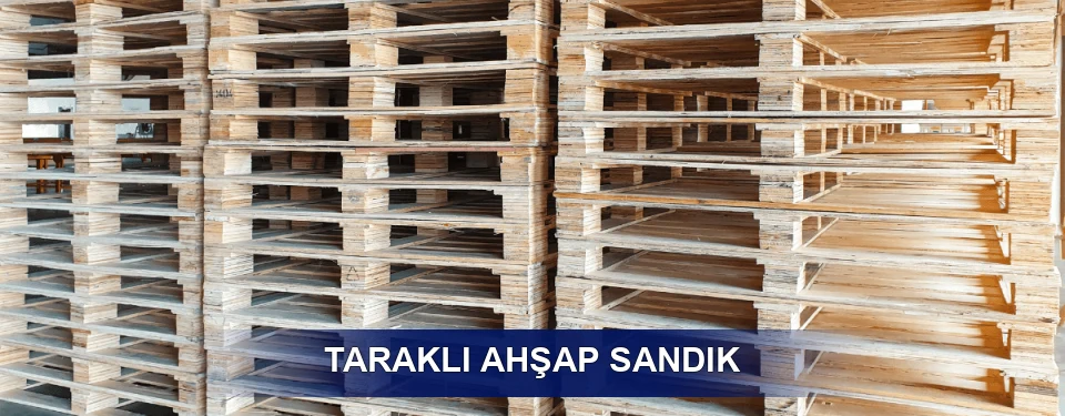Taraklı Ölçü Planı