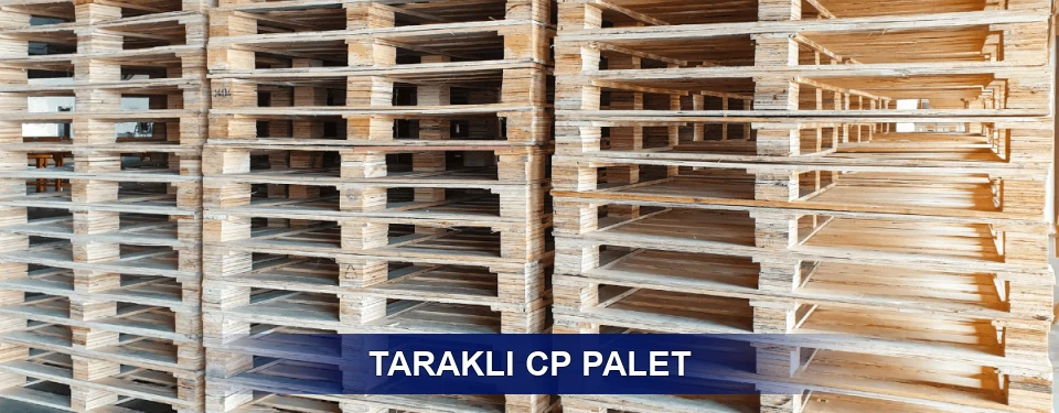 Taraklı Standart Tipler