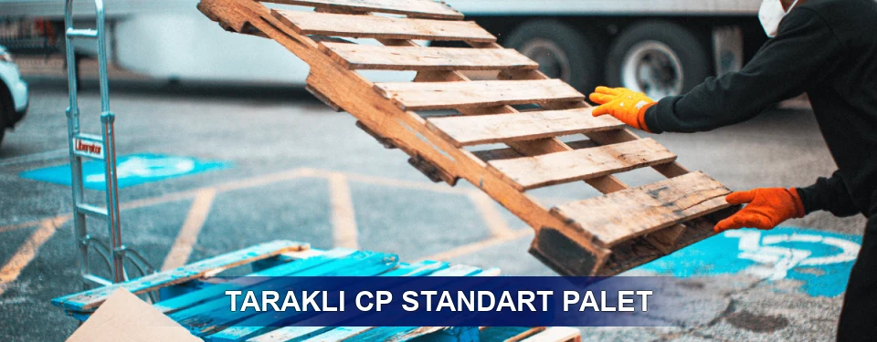 Taraklı Fiyatlandırma