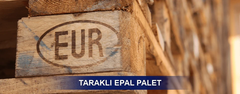 Taraklı Standart Yapı
