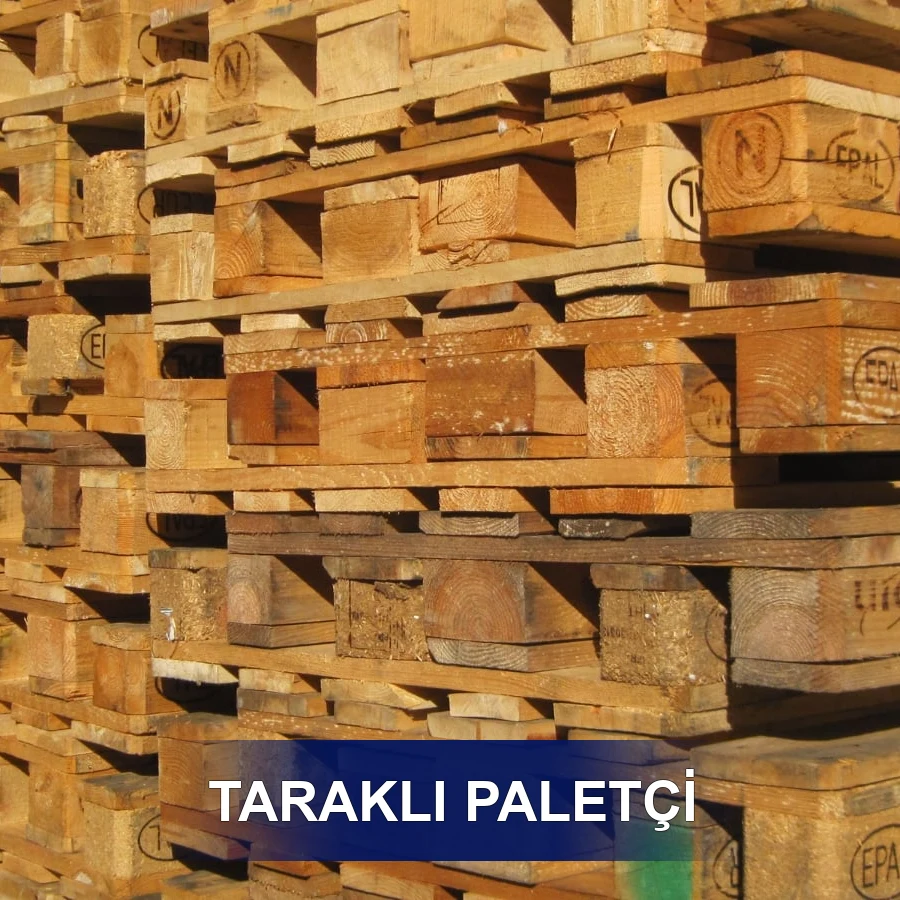 Taraklı Paletçi