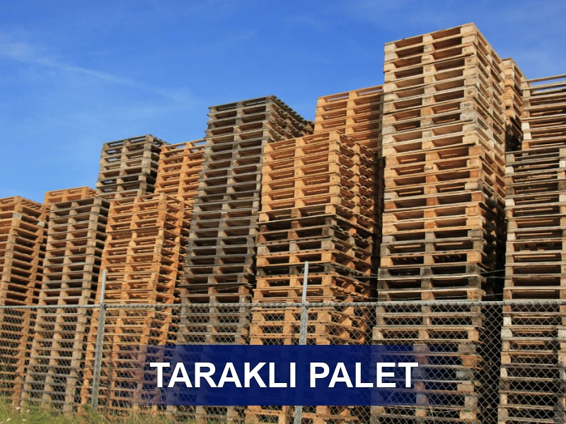 Taraklı Palet Galeri 2