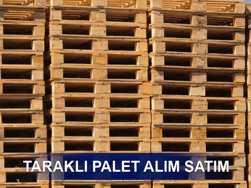 Taraklı Palet Galeri 3