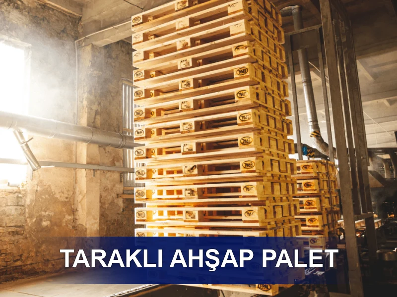 Taraklı Palet Galeri 4