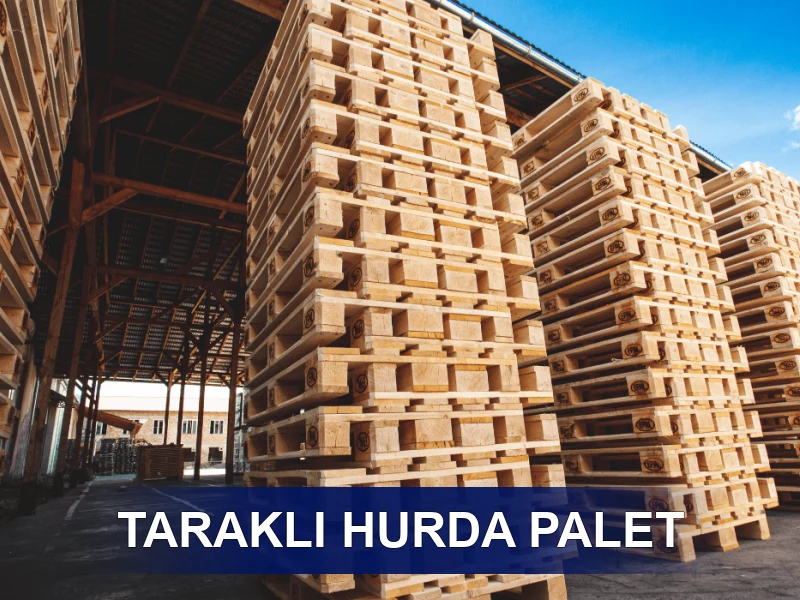 Taraklı Palet Galeri 5