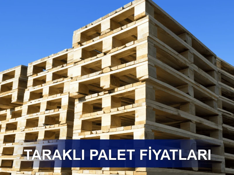 Taraklı Palet Galeri 8