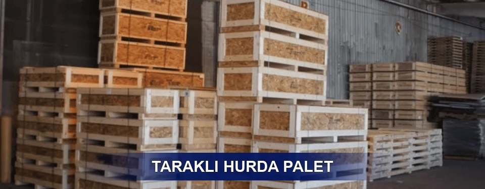 Taraklı Sınıflandırma