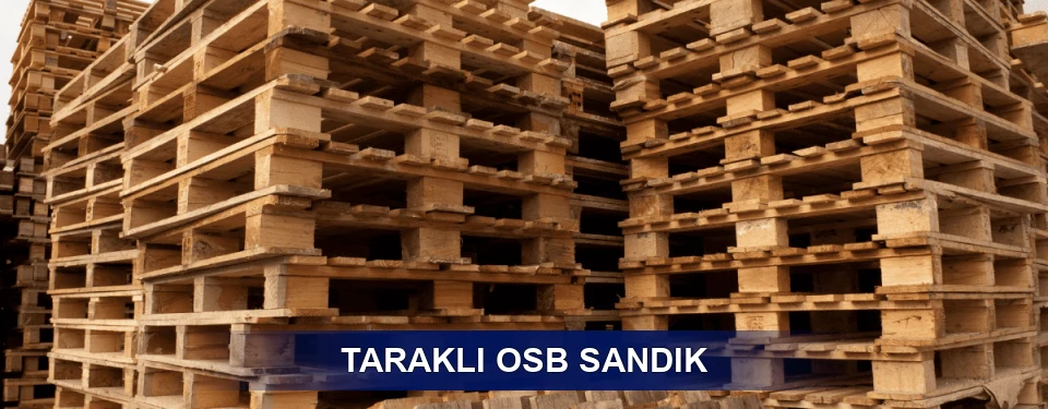 Taraklı Ölçü Planı