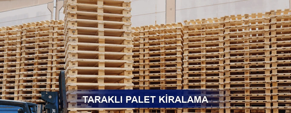 Taraklı Uzun Dönem