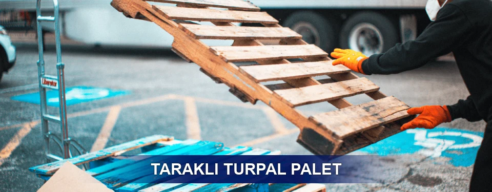 Taraklı Market Uyumu